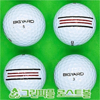 빅야드 스트레이트 화이트 2피스 B급 로스트볼 16개 (이미지없음)