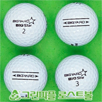 빅야드 빅스타 화이트 2피스 A급 로스트볼 16개