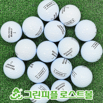 빅야드 고반발 GIANT 3피스 B+급 로스트볼 16개